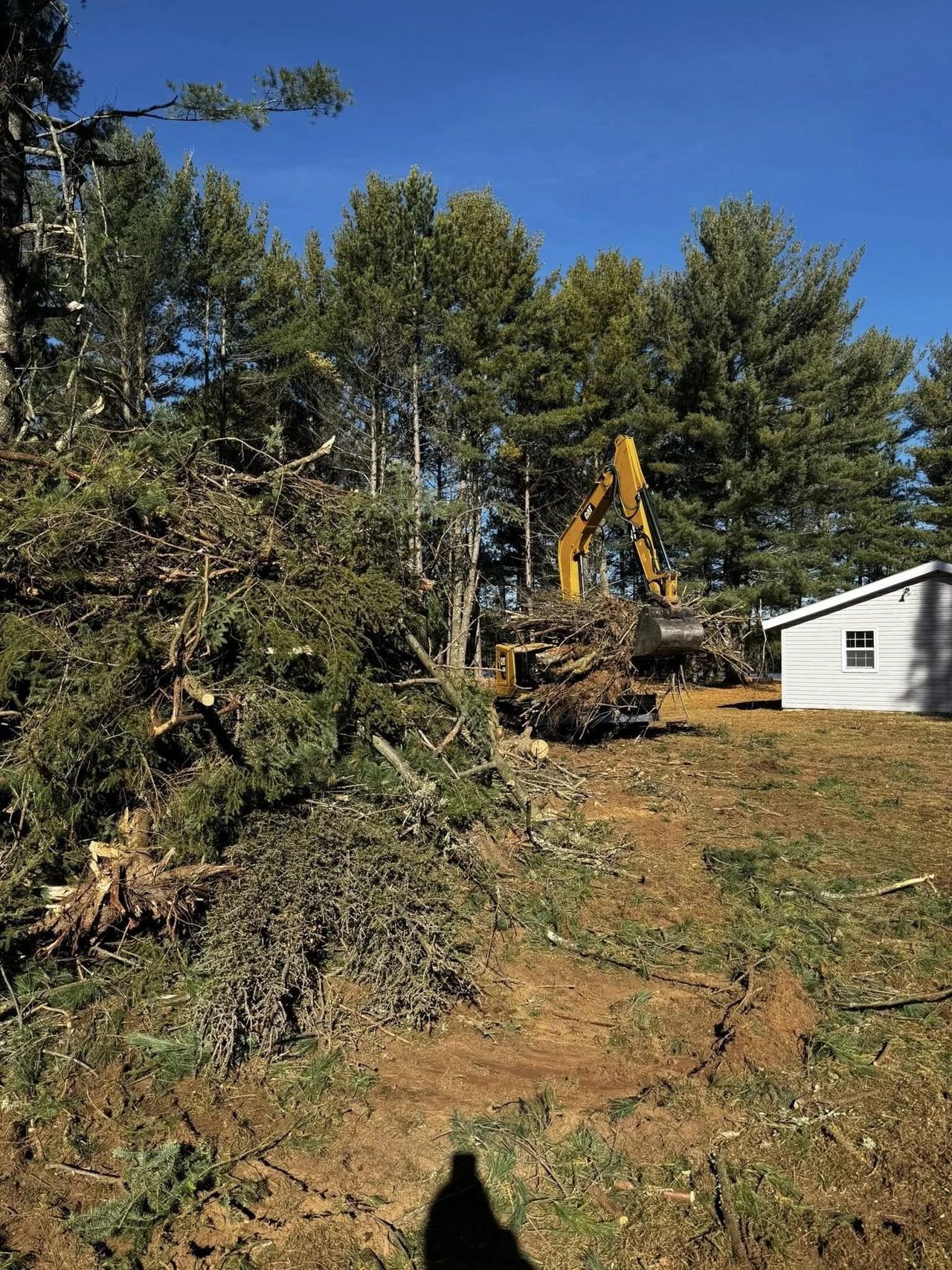 Excavator clearing felled trees and brush from a wooded lot, by OARA