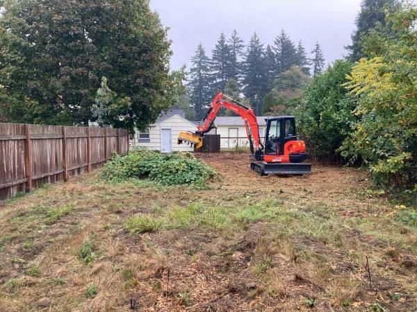 Compact excavator with a mulching head clearing an overgrown backyard
